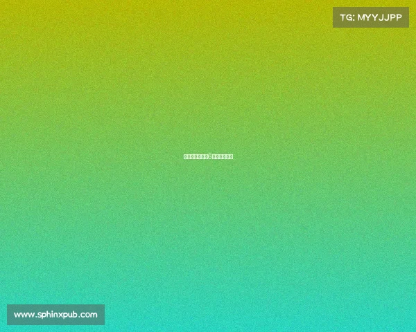 搏击赛事的魅力6—搏击的比赛